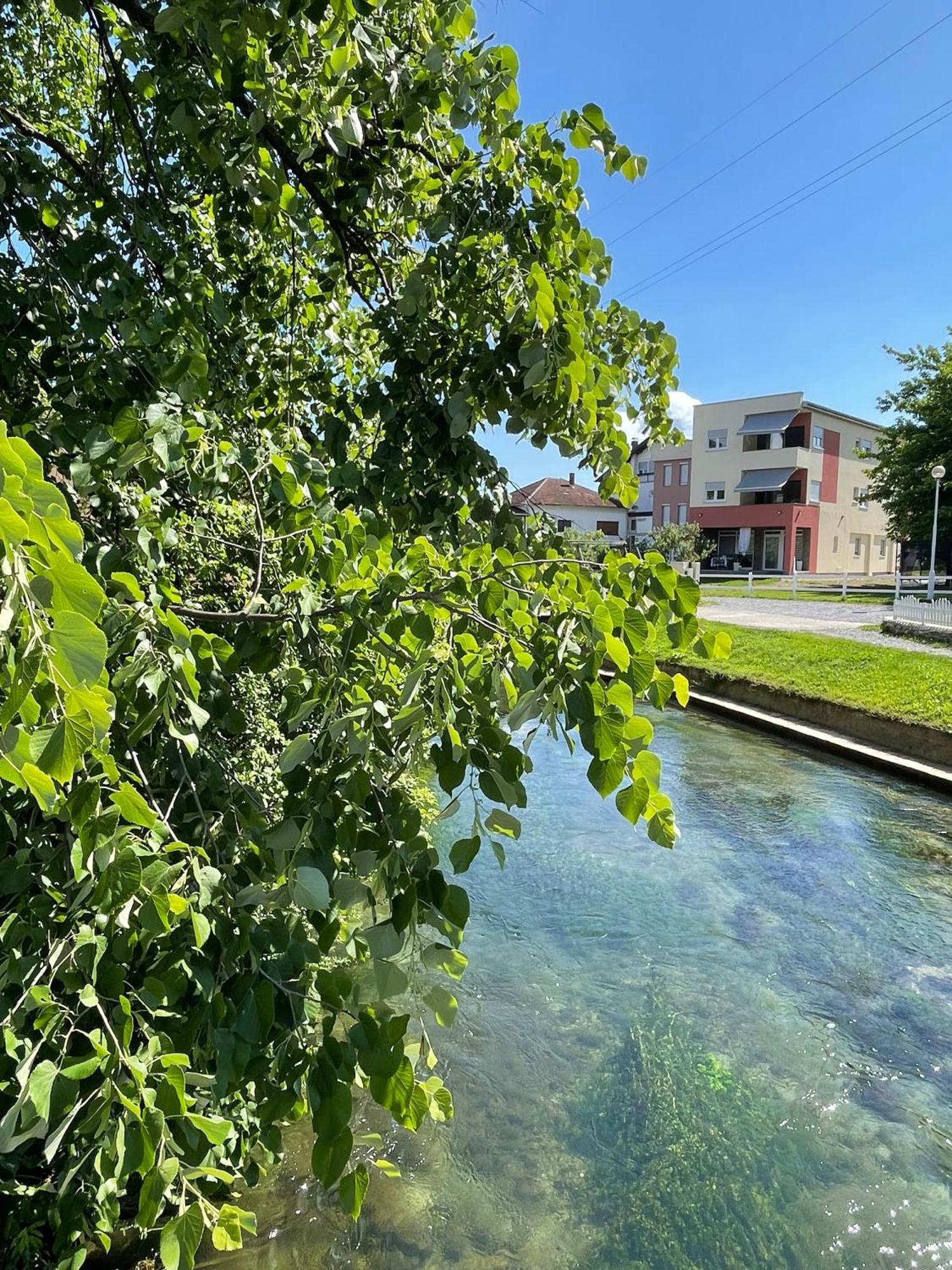Apartment Vila Tara Bihać Εξωτερικό φωτογραφία